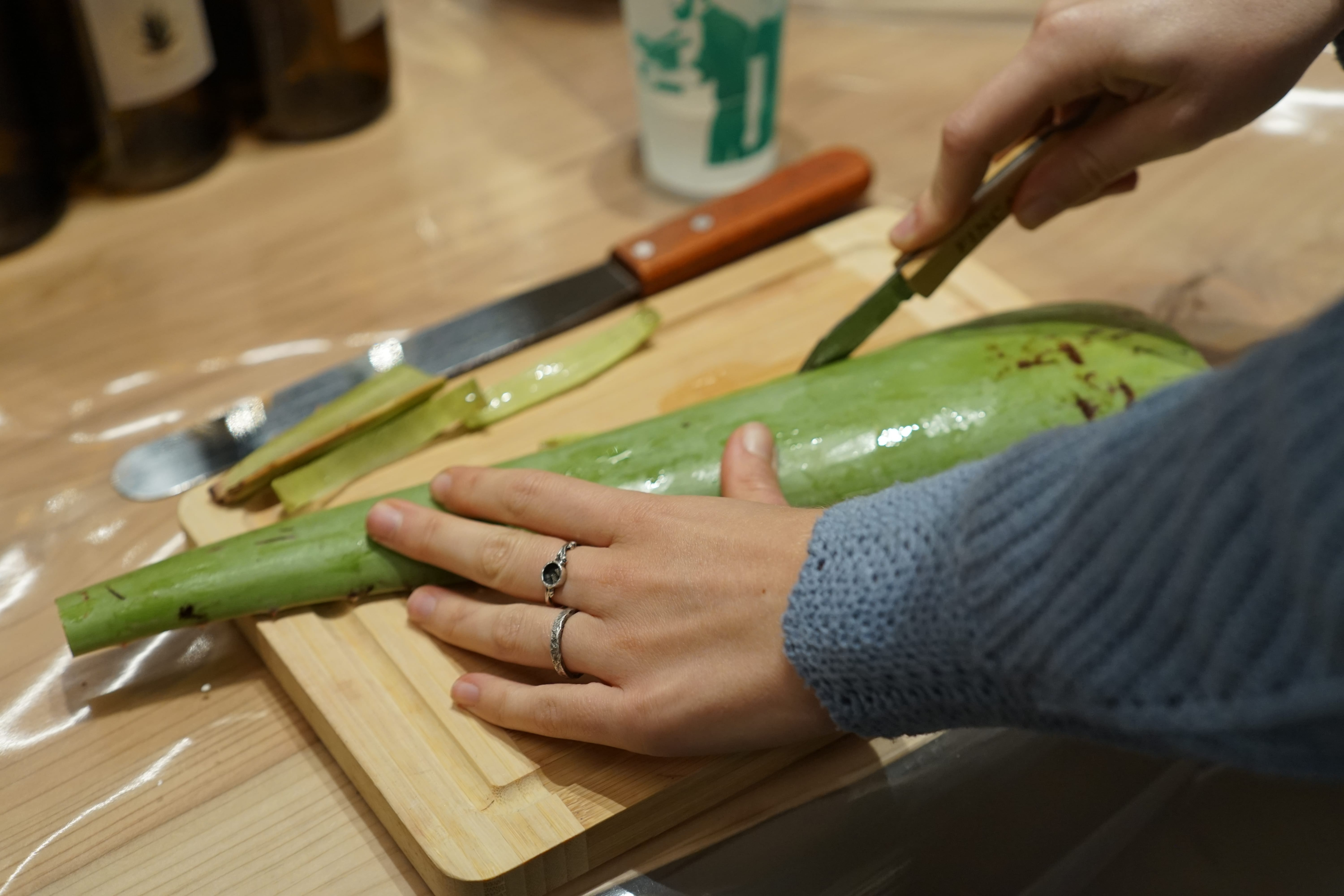 Aloë vera workshop - Foto