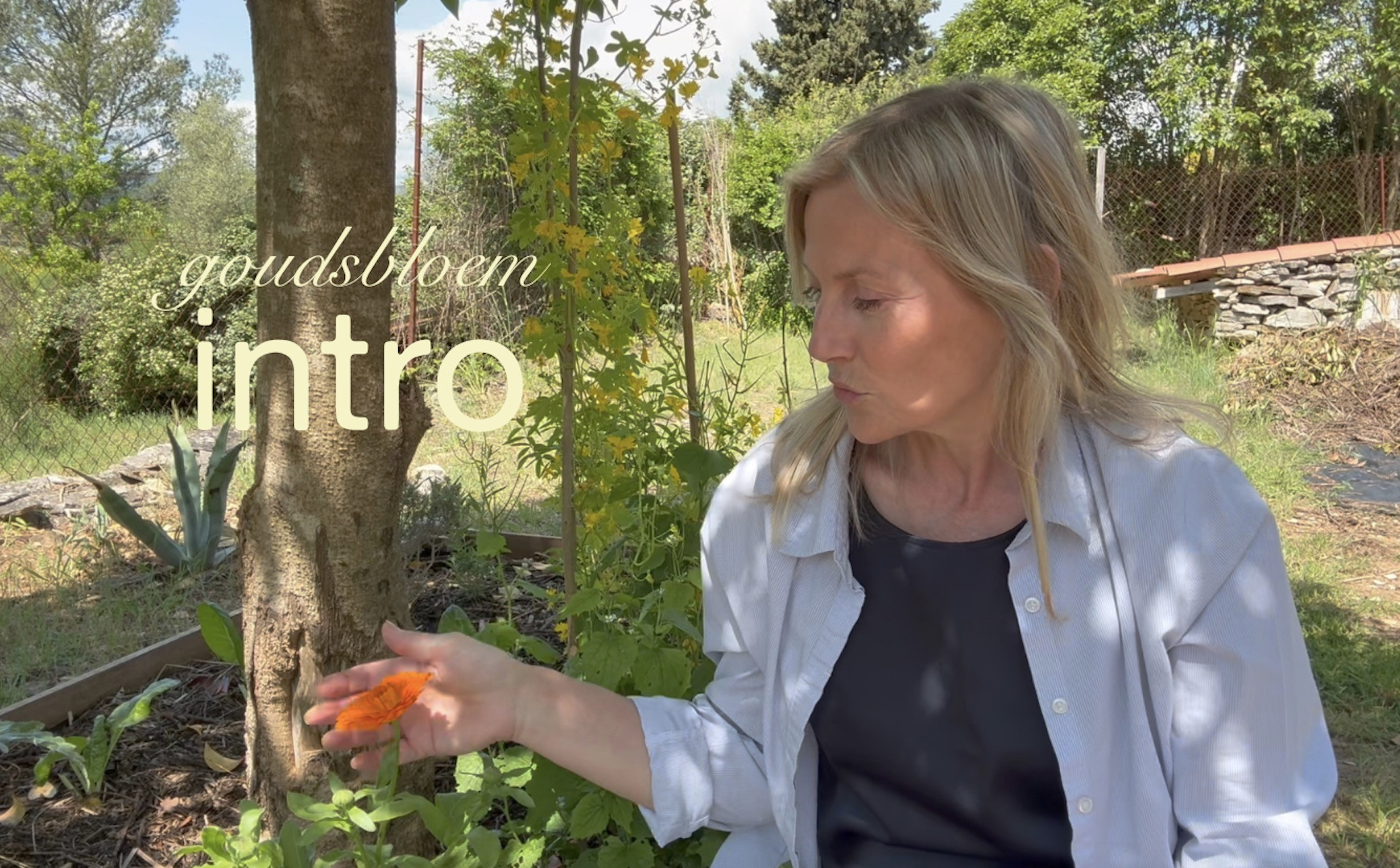 Kruiden Kickstart: Online Selfcare cursus - Foto