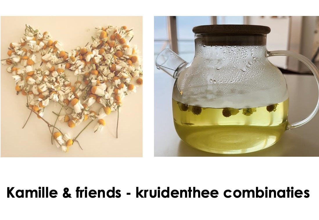 Kruiden Kickstart: Online Selfcare cursus - Foto