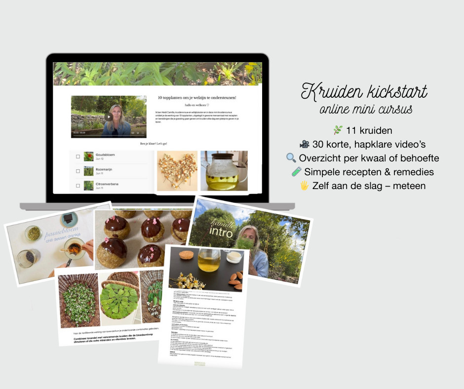 Kruiden Kickstart: Online Selfcare cursus - Foto