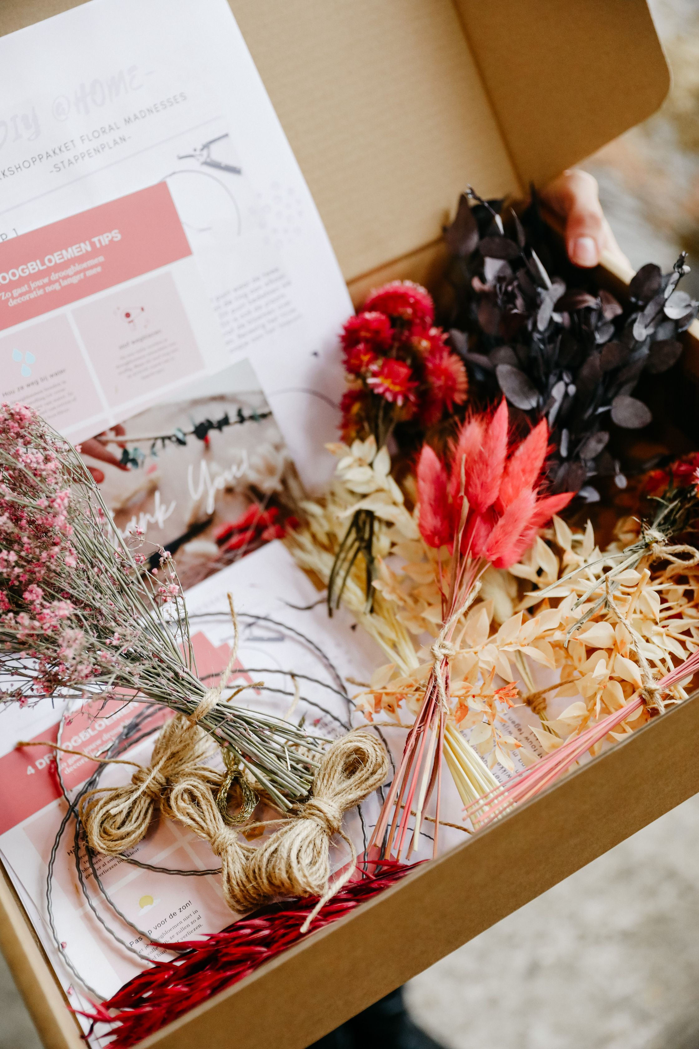 Workshop box mini dried floral hoops - Foto