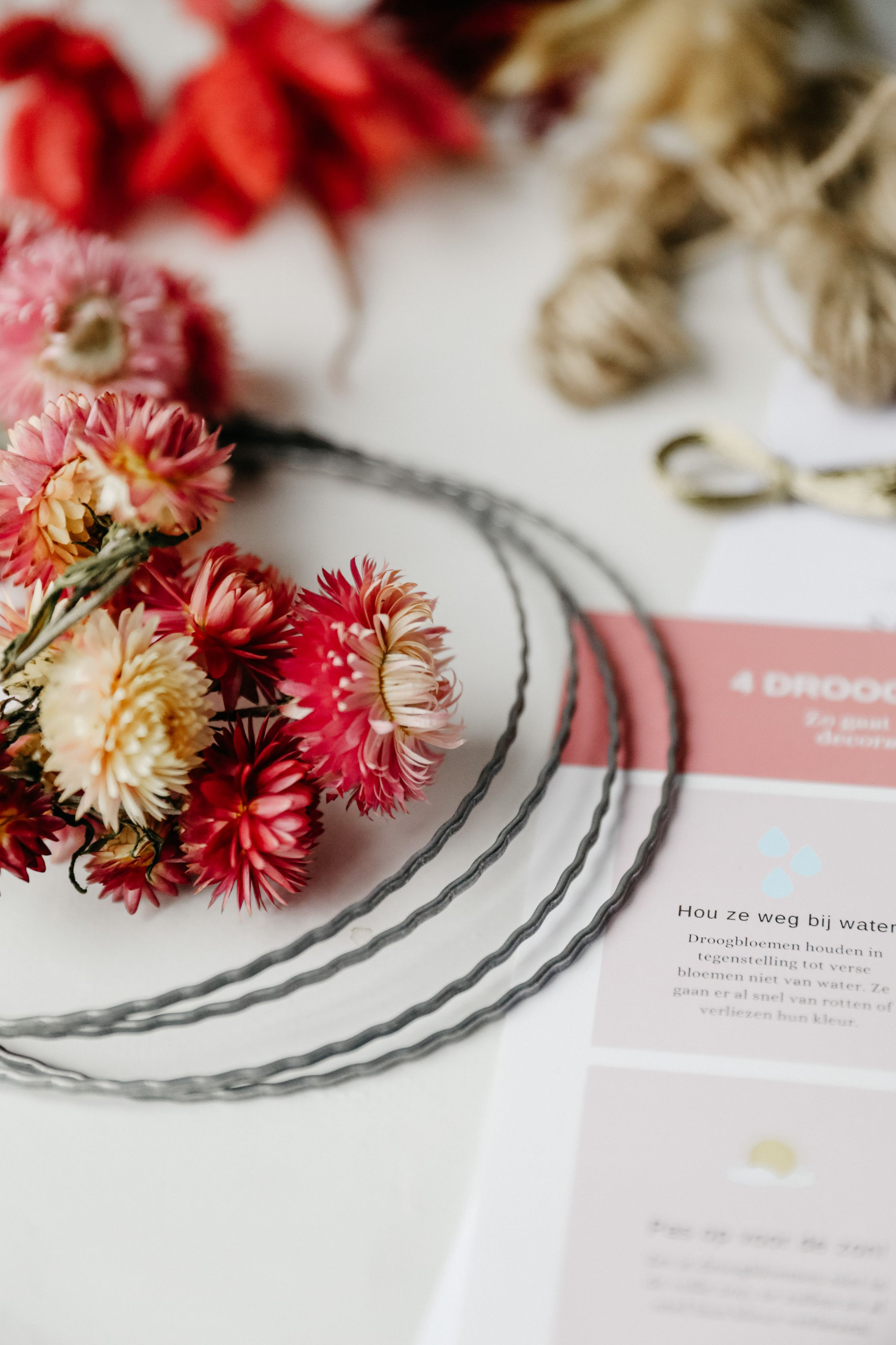 Workshop box mini dried floral hoops - Foto