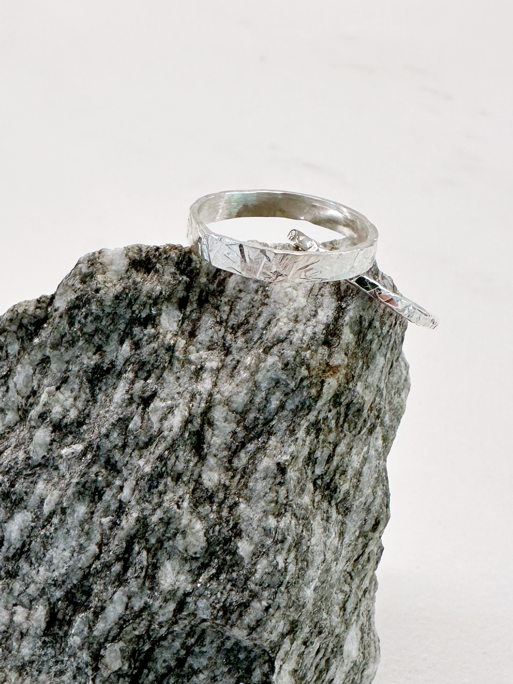 Mini-workshop zilveren ringen - Foto