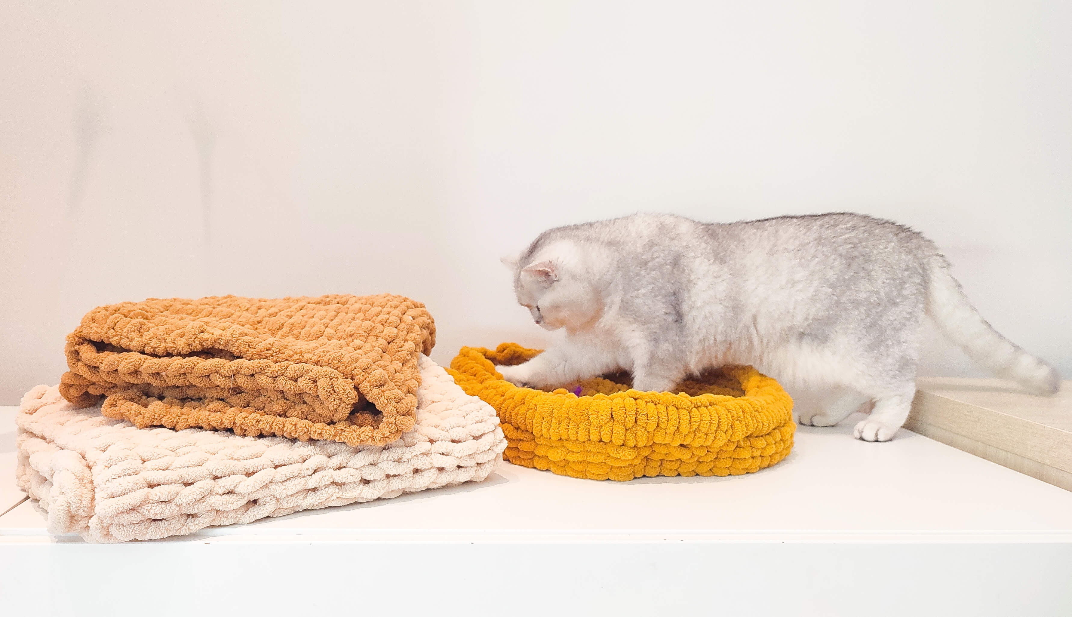 Cats & Knits – Mandje handbreien in het kattenparadijs 🐈🧶✨ - Foto