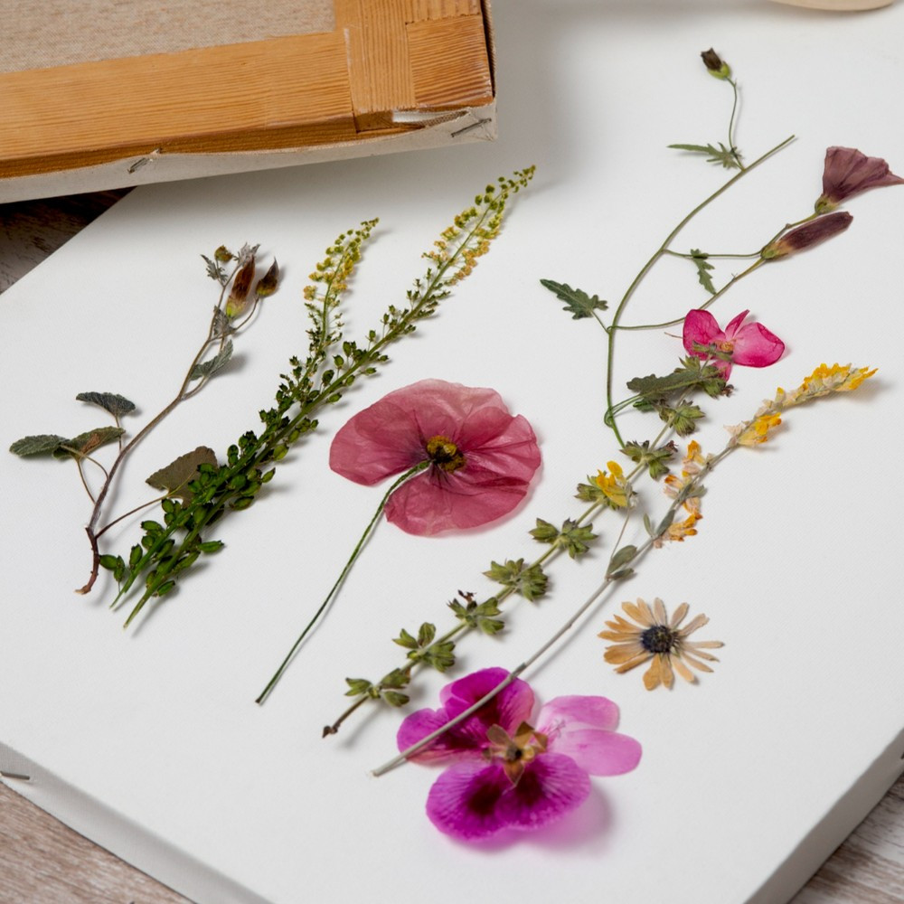 Workshop Bloemen persen - Foto