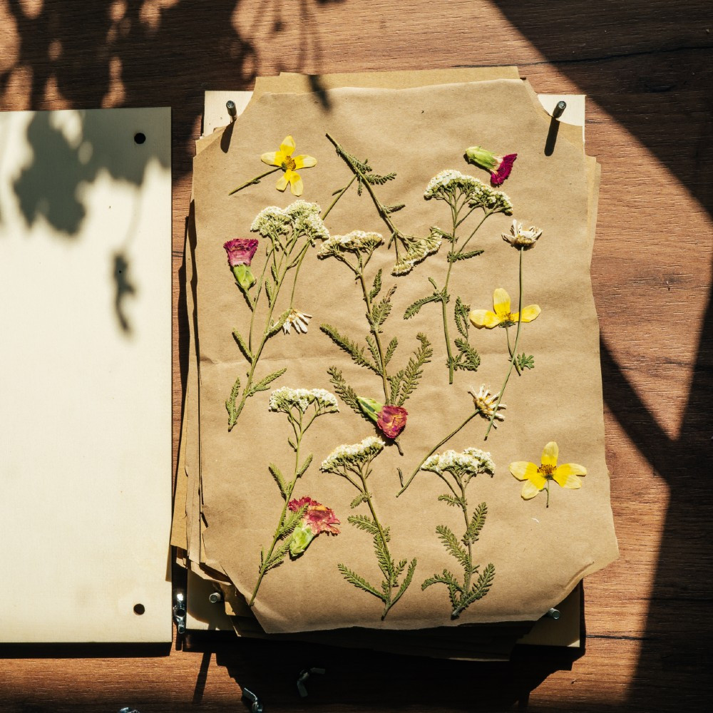 Workshop Bloemen persen - Foto