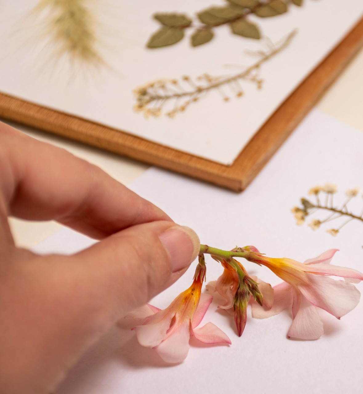 Workshop Bloemen persen - Foto