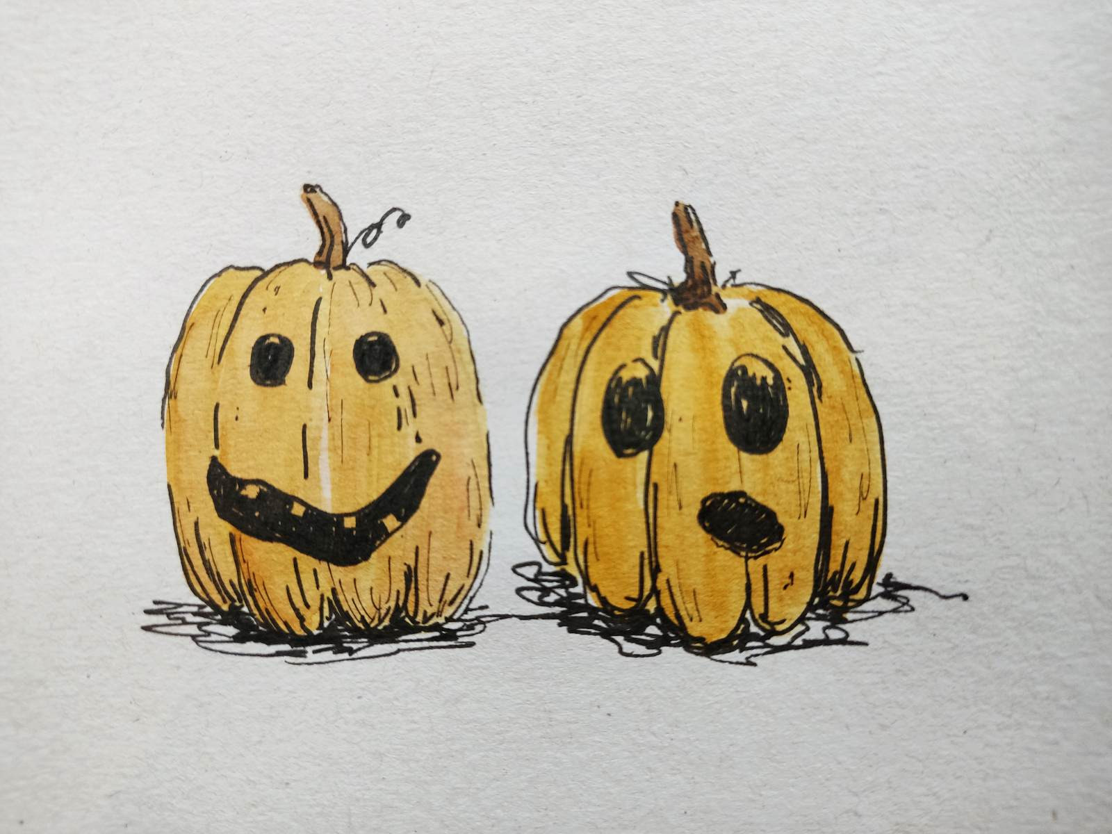 © Lies Hendrickx - De Blauwe Walvis