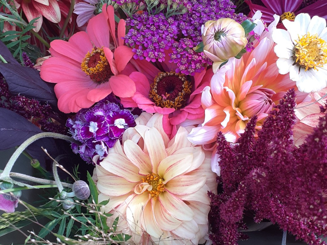 Breakfast & Flowers (lente-editie) - Foto