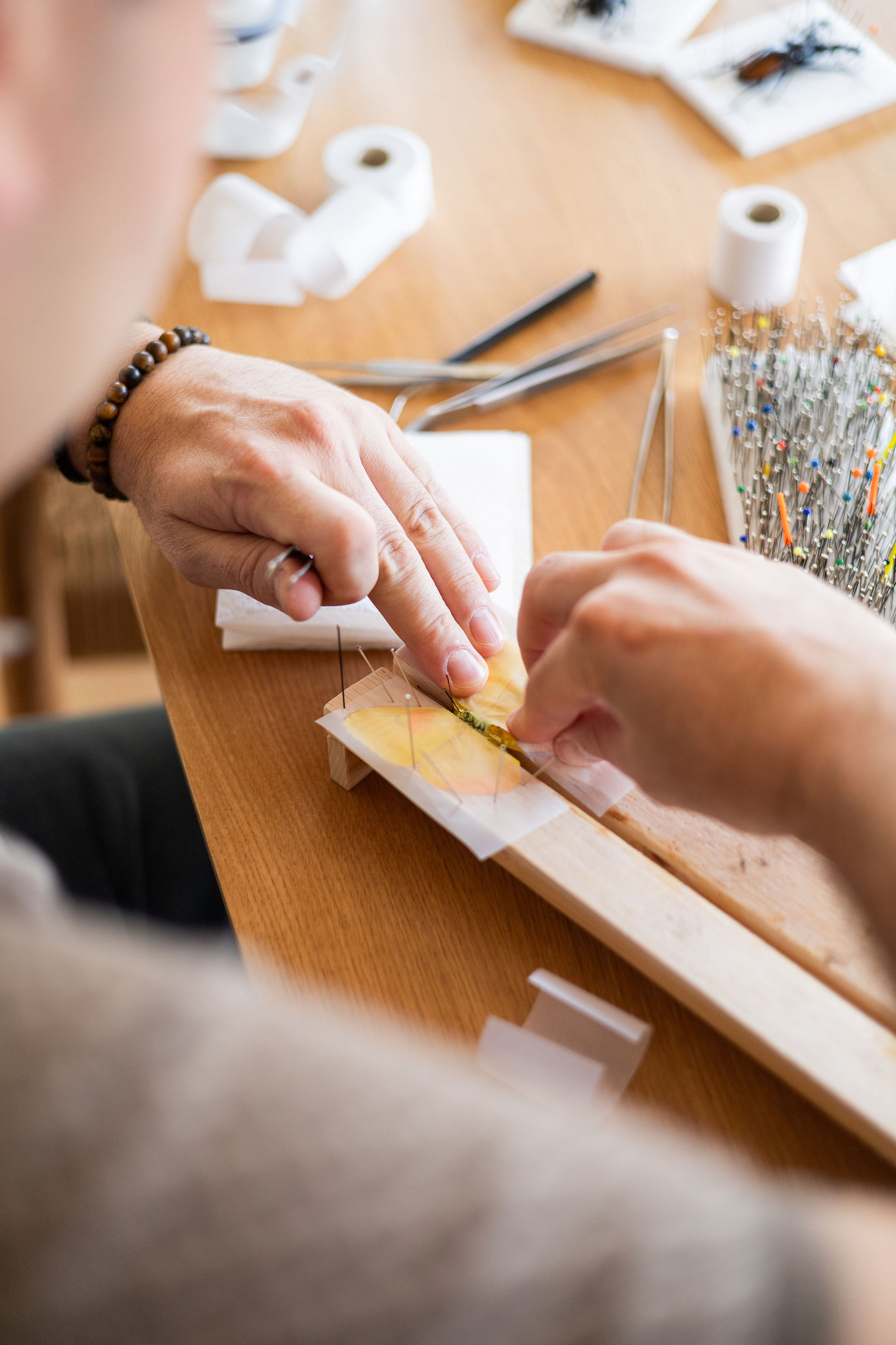 Workshop 'Vlinders prepareren' - Foto