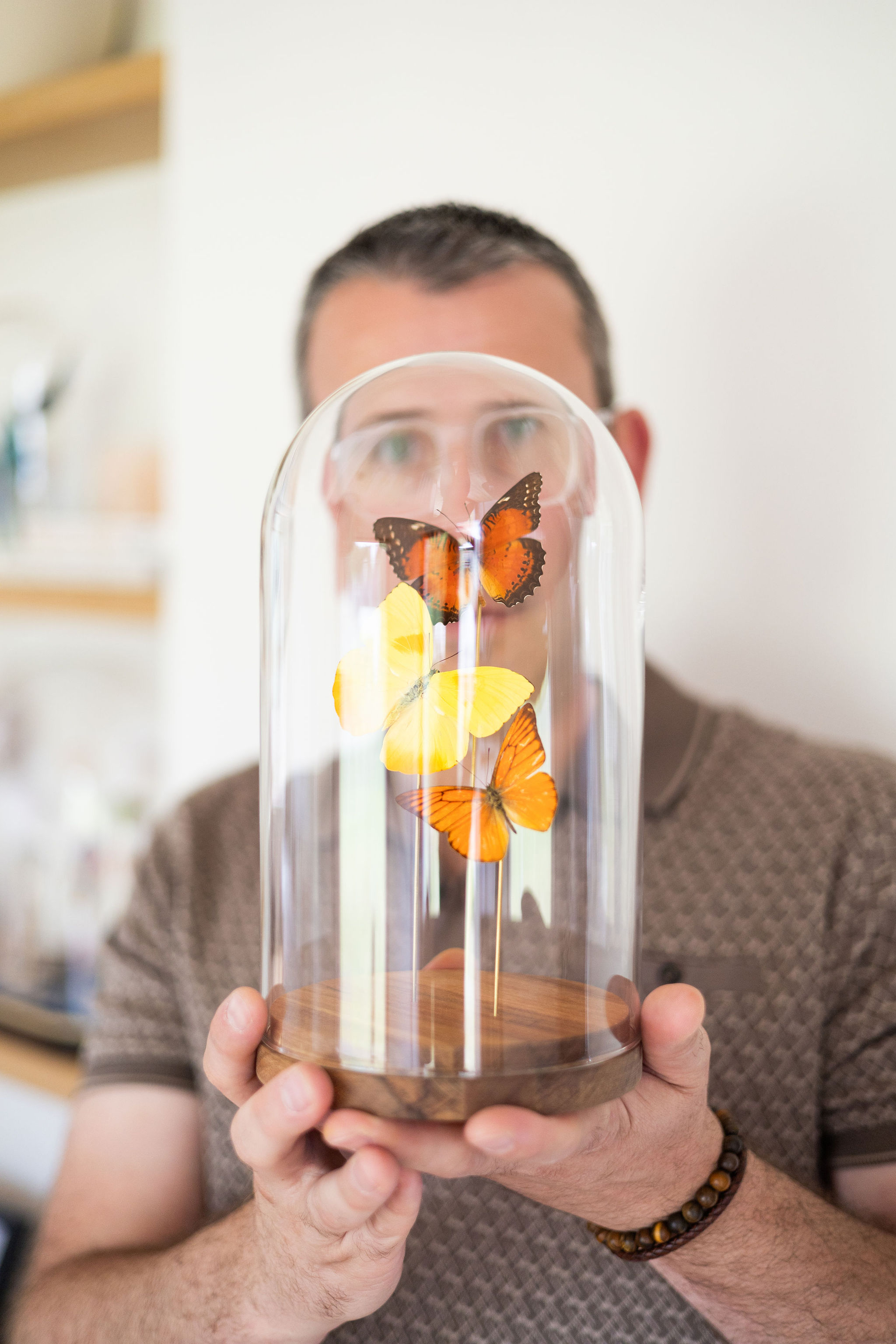 Workshop "Vlinder Creatie"