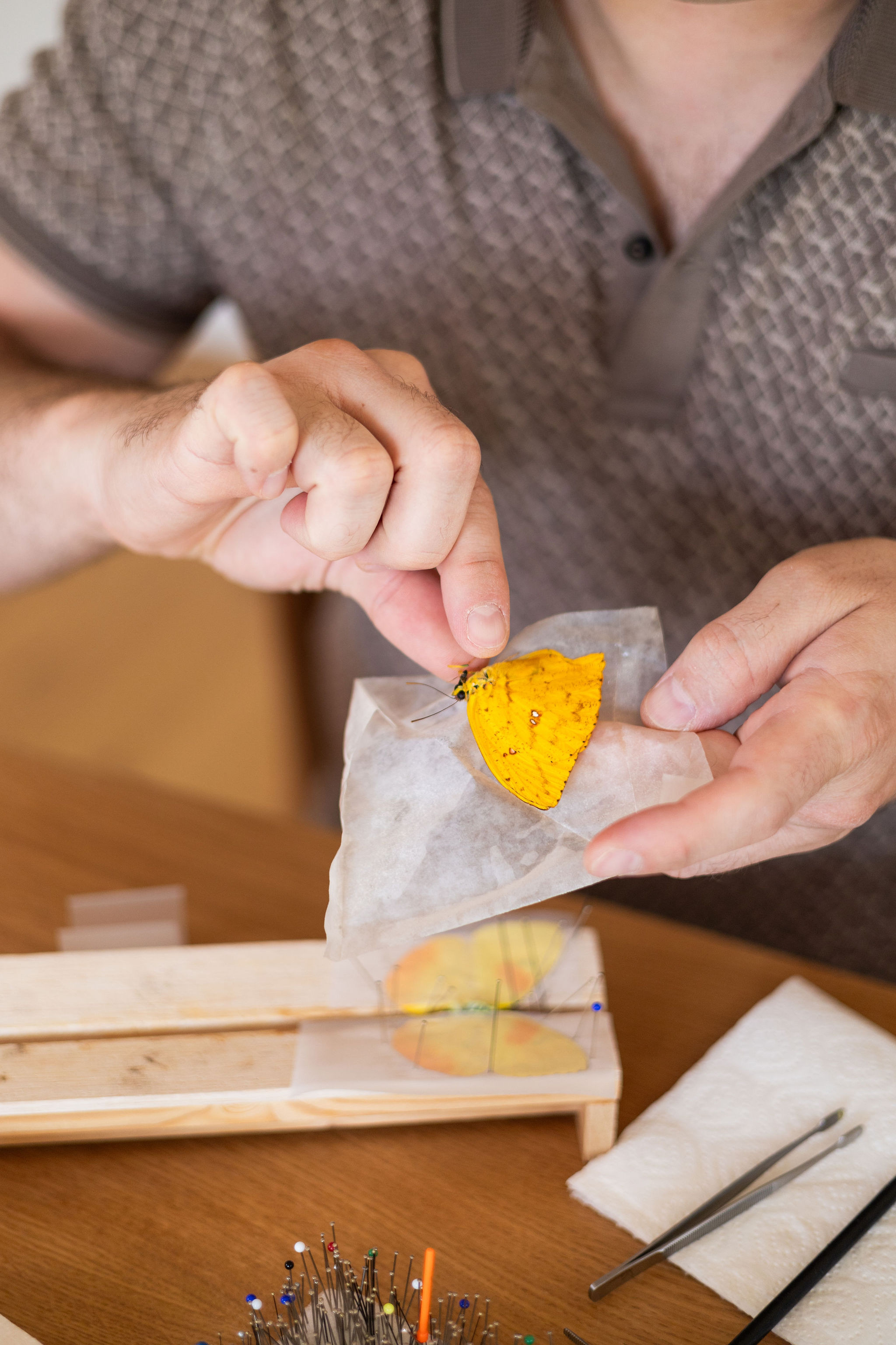 Workshop "Vlinder Creatie" - Foto