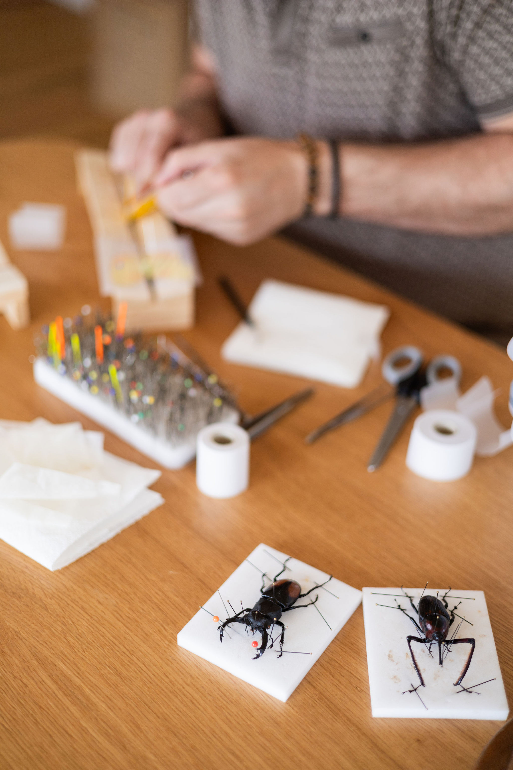 Workshop "Vlinder Creatie" - Foto