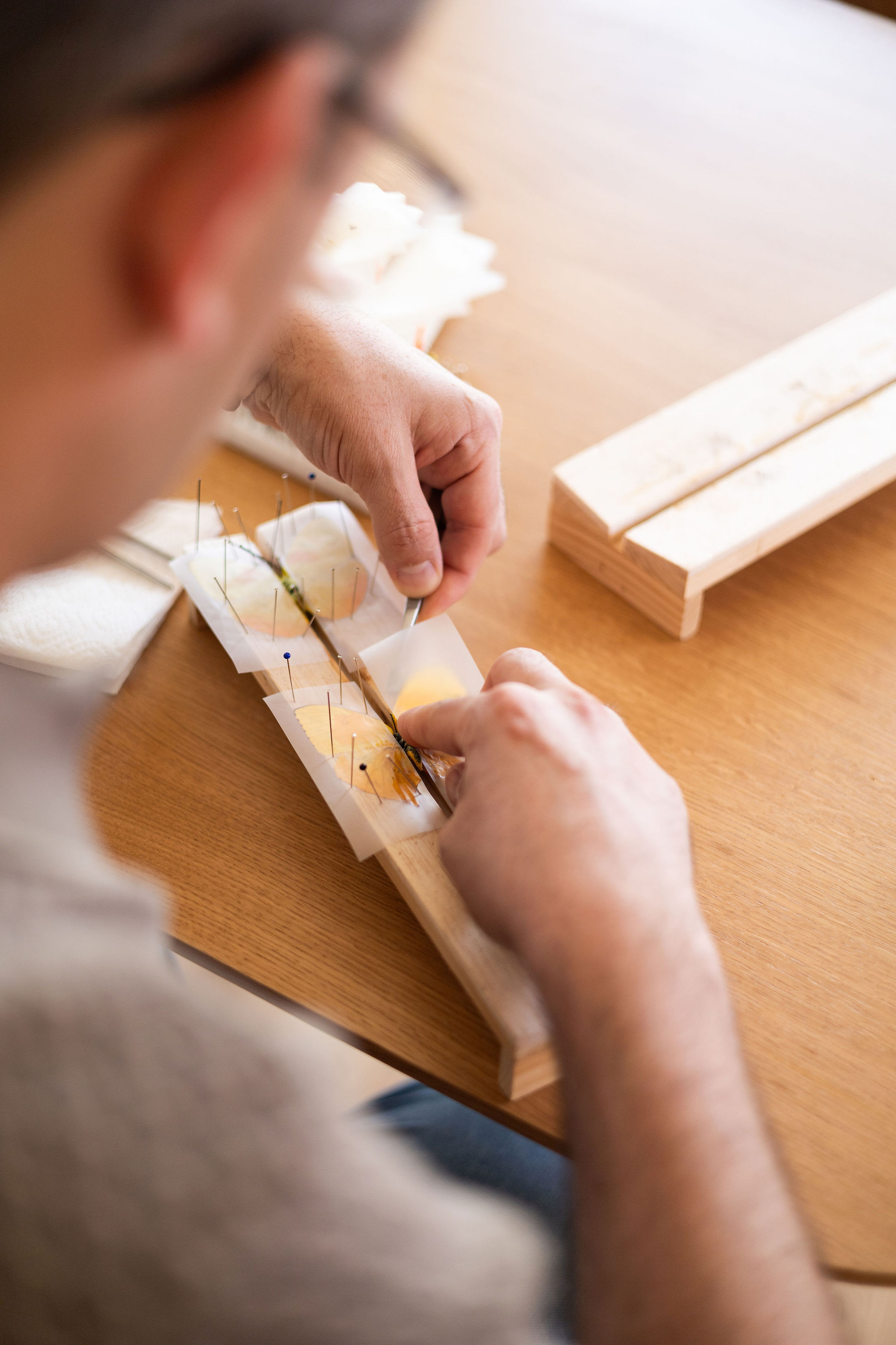 Workshop "Vlinder Creatie" - Foto