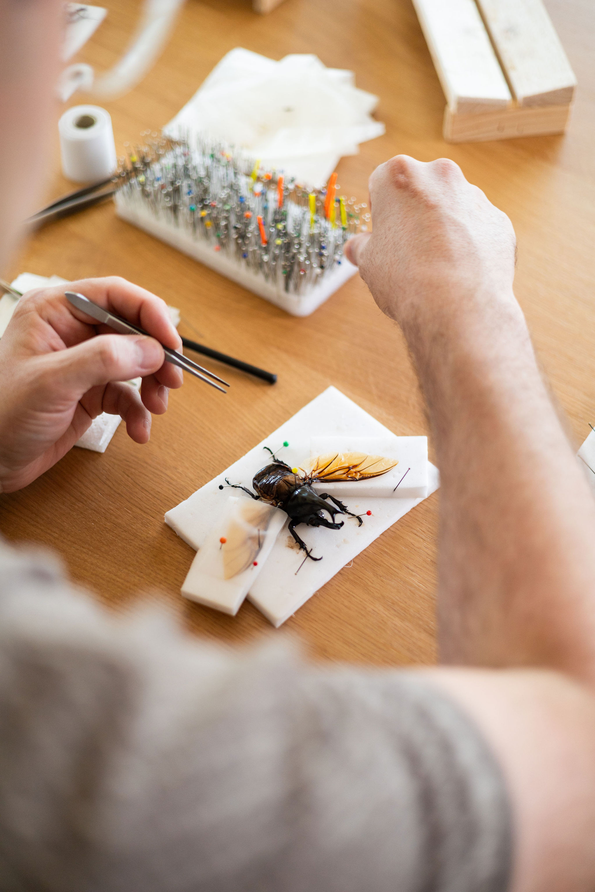 Workshop "Vlinder Creatie" - Foto