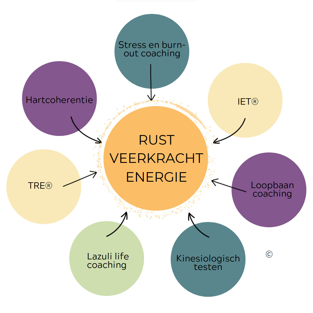 Masterclass 'Ontdek mijn bewezen SOS-methode voor meer rust, veerkracht en energie!' - Foto