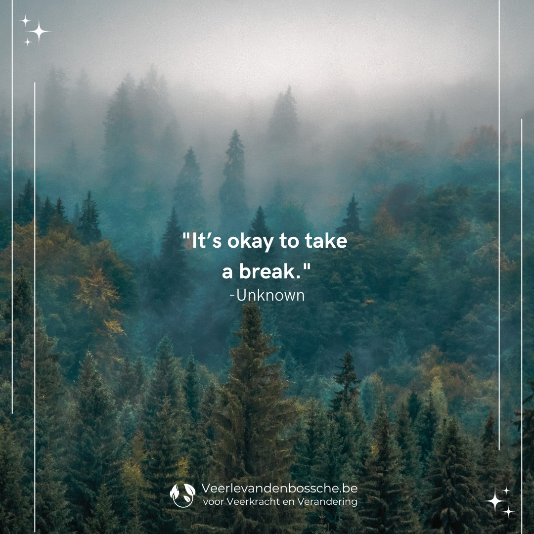 Masterclass 'Ontdek mijn bewezen SOS-methode voor meer rust, veerkracht en energie!' - Foto