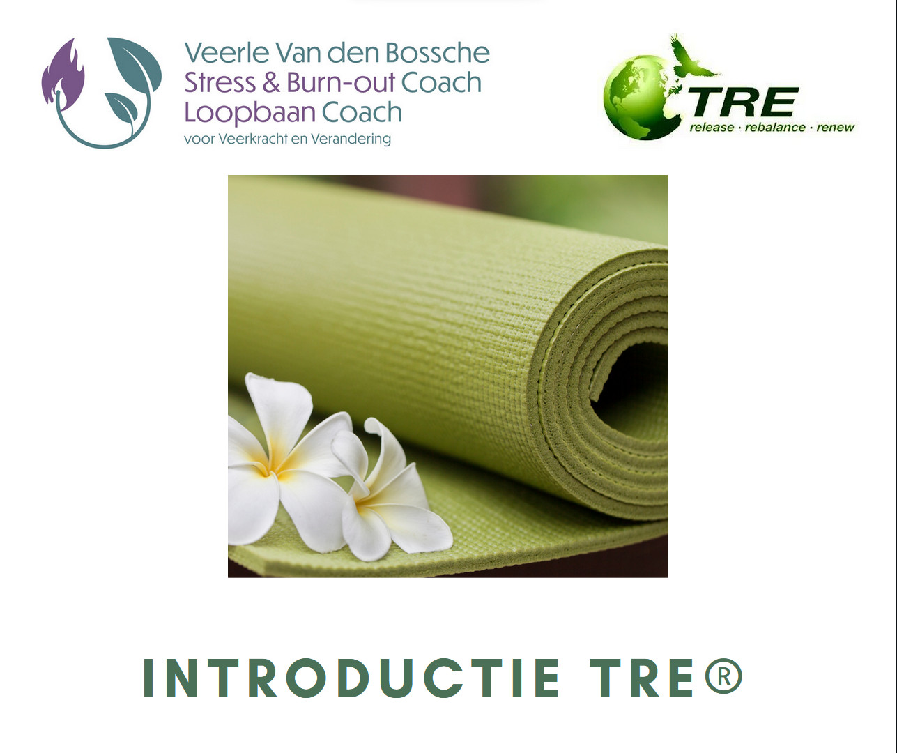 Workshop 'Meer rust, veerkracht en energie via lichaamswerk!' - Foto