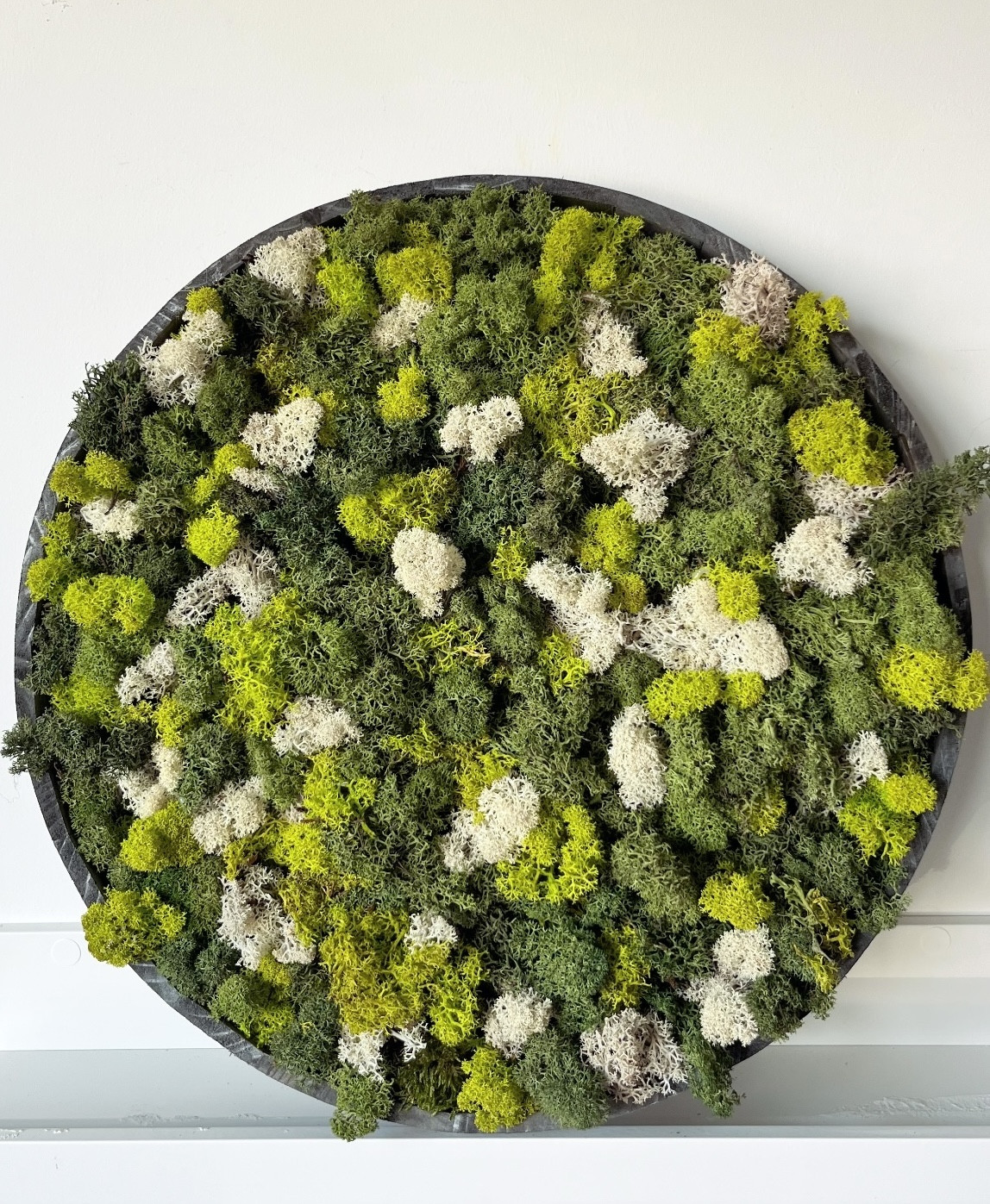 Moswand Workshop - Foto