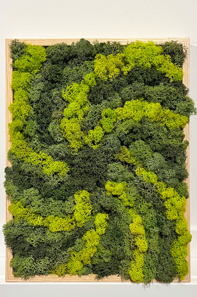 Moswand Workshop - Foto