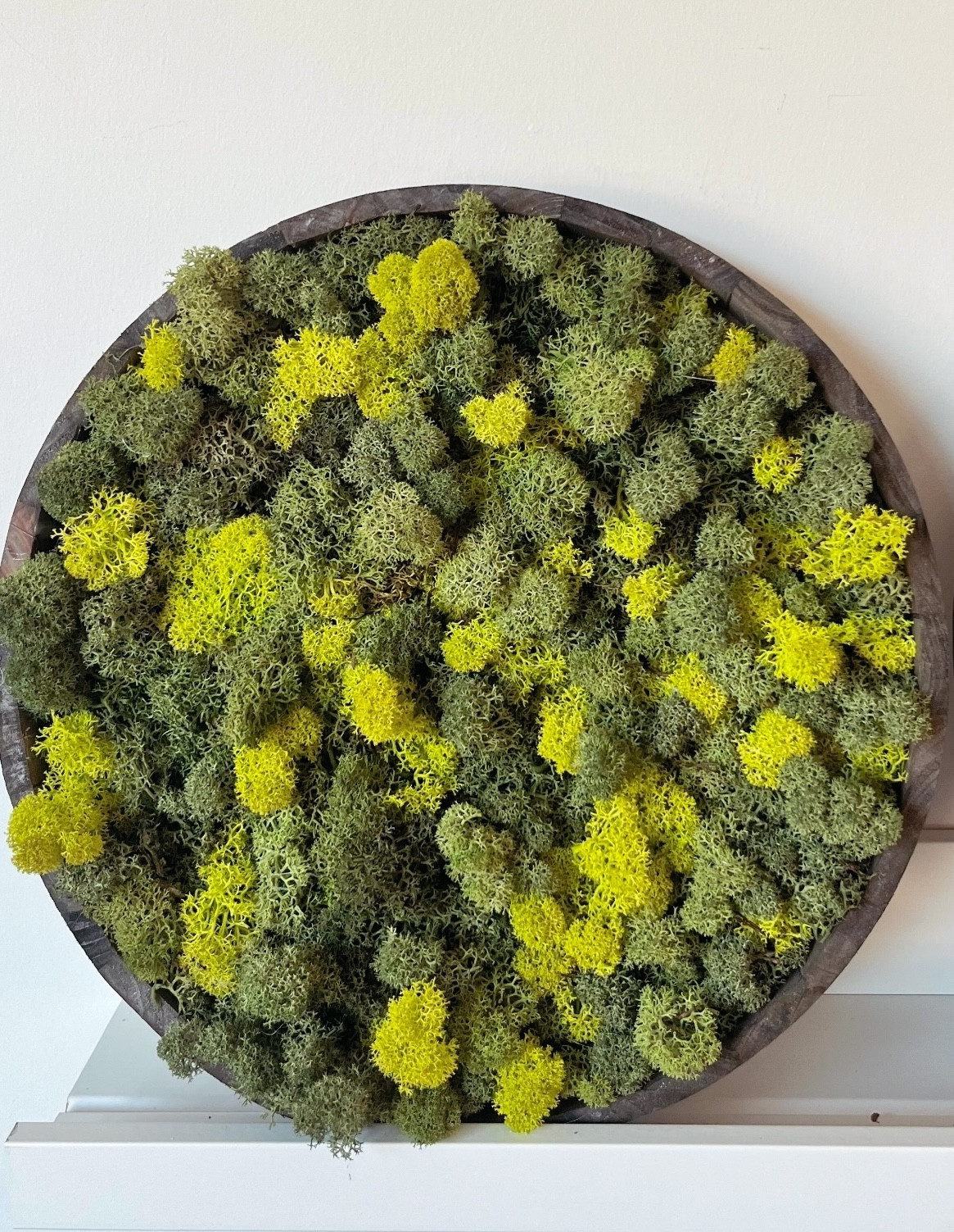 Moswand Workshop - Foto