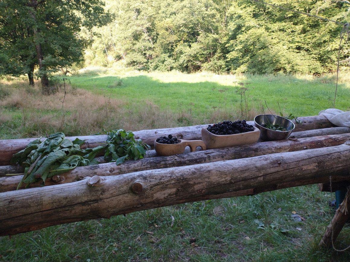 4-daagse bushcraft - Foto