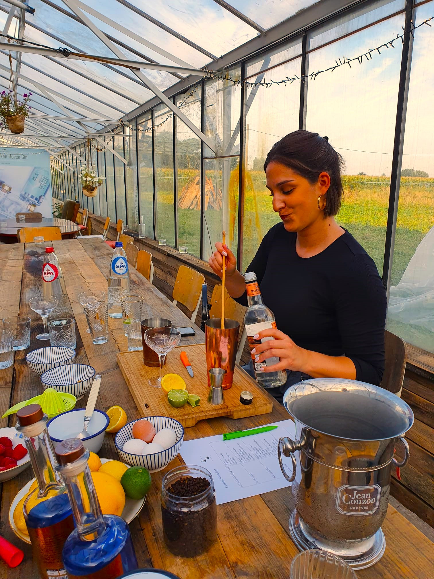 Gin Cocktails maken - Foto