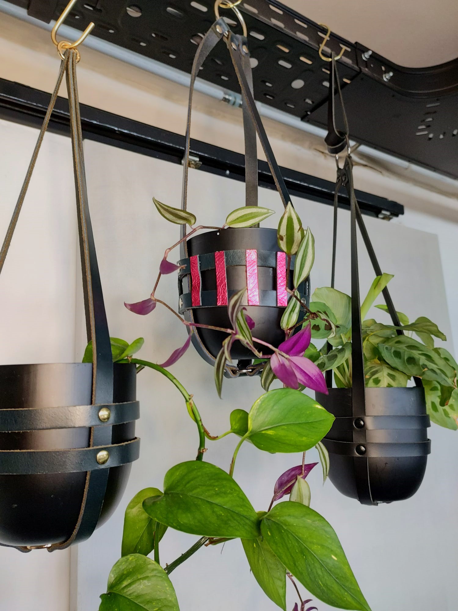 Plantenhanger in leer - Foto