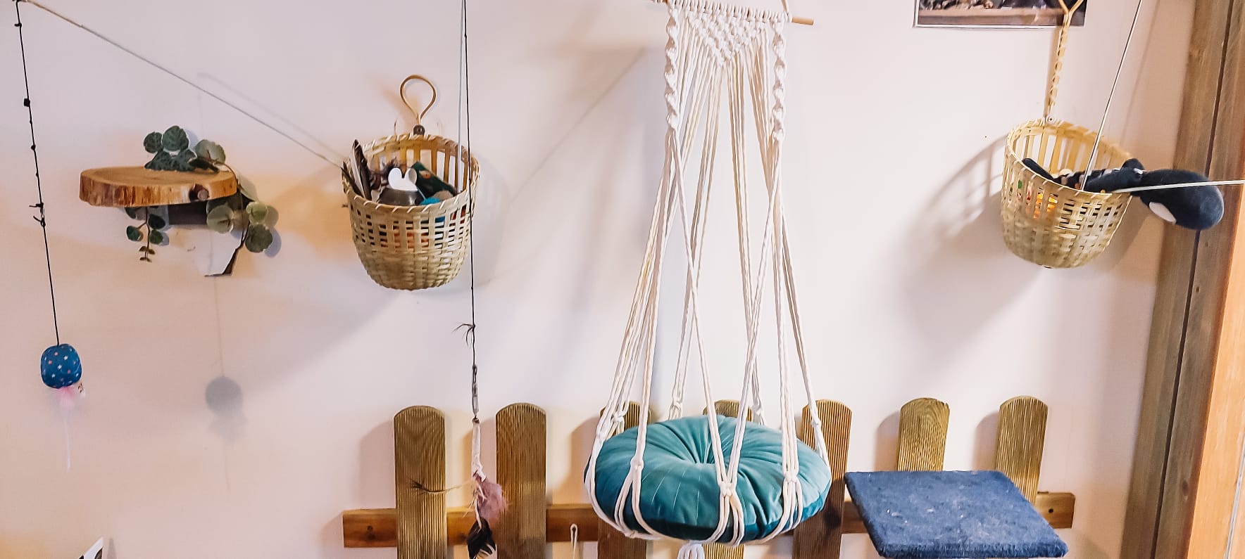 Macramé & Katjes – knoop een knusse hangmand voor je kat 🐾🧶🌸 - Foto