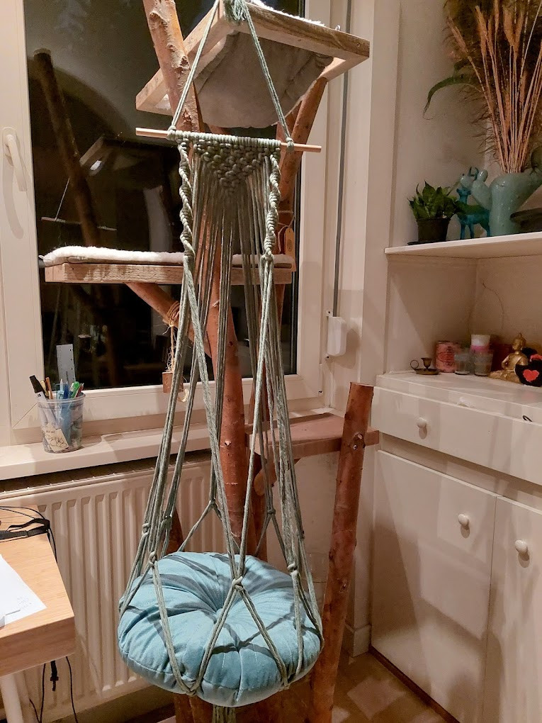 Macramé & Katjes – knoop een knusse hangmand voor je kat 🐾🧶🌸 - Foto
