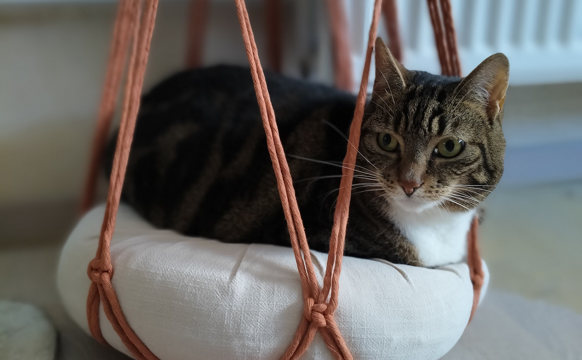 Macramé & Katjes – knoop een knusse hangmand voor je kat 🐾🧶🌸 - Foto