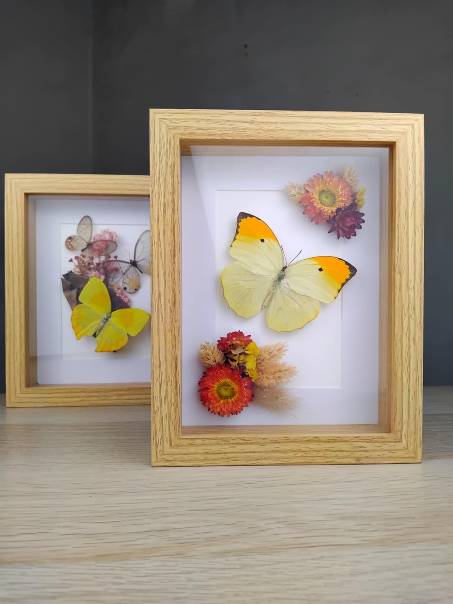 Workshop Vlinder Frame