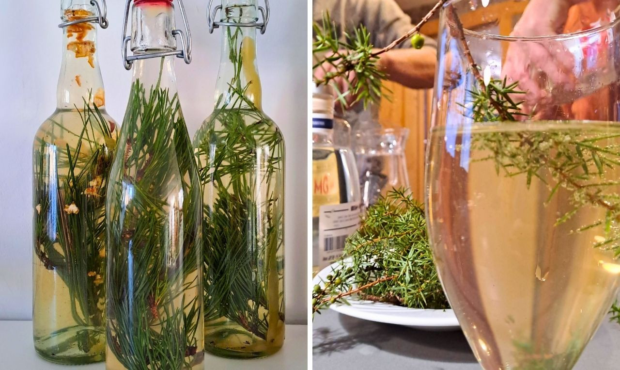 Workshop KOMBUCHA IN DE POLDERS - Foto
