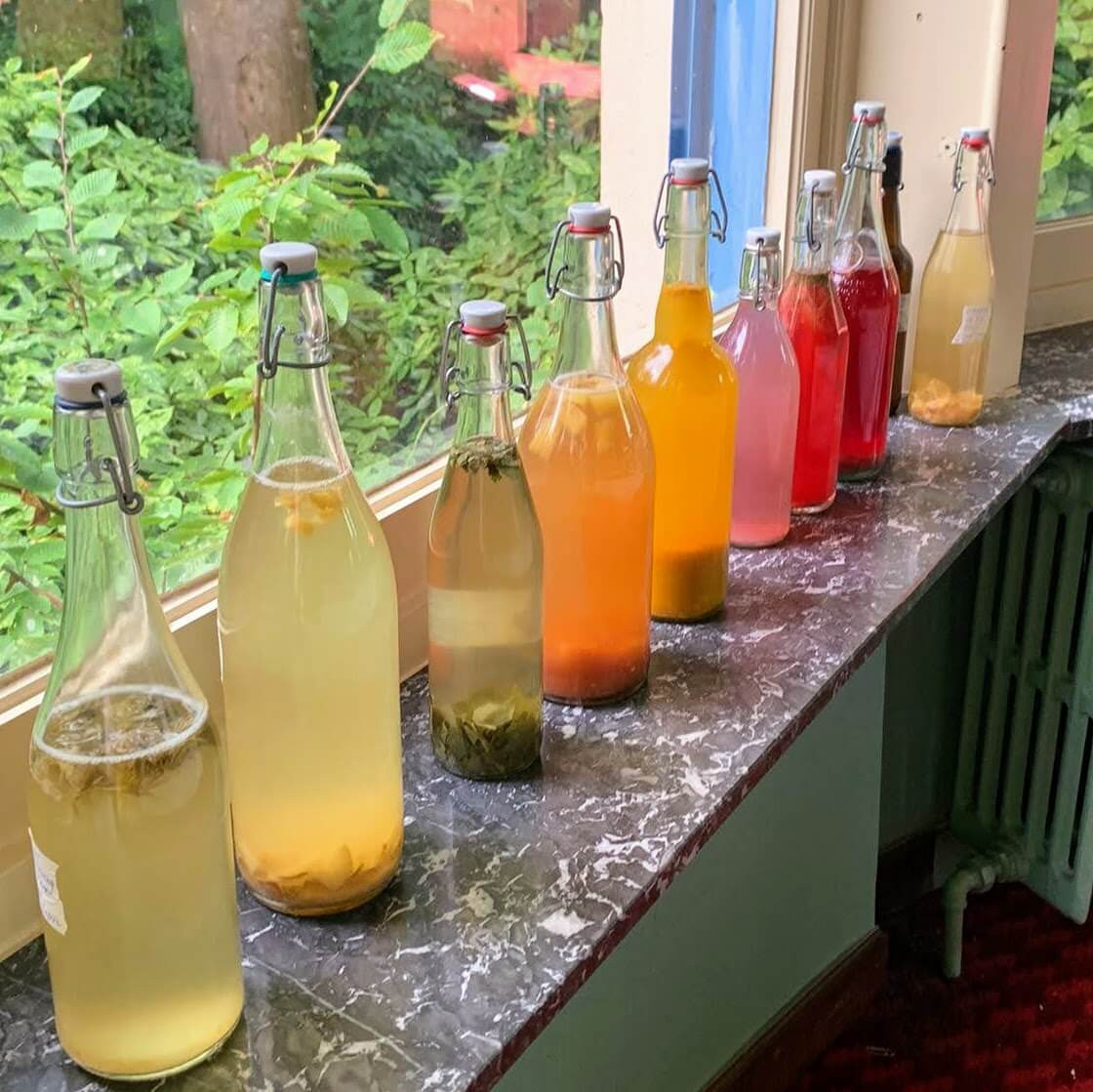 Workshop KOMBUCHA & Co - Foto