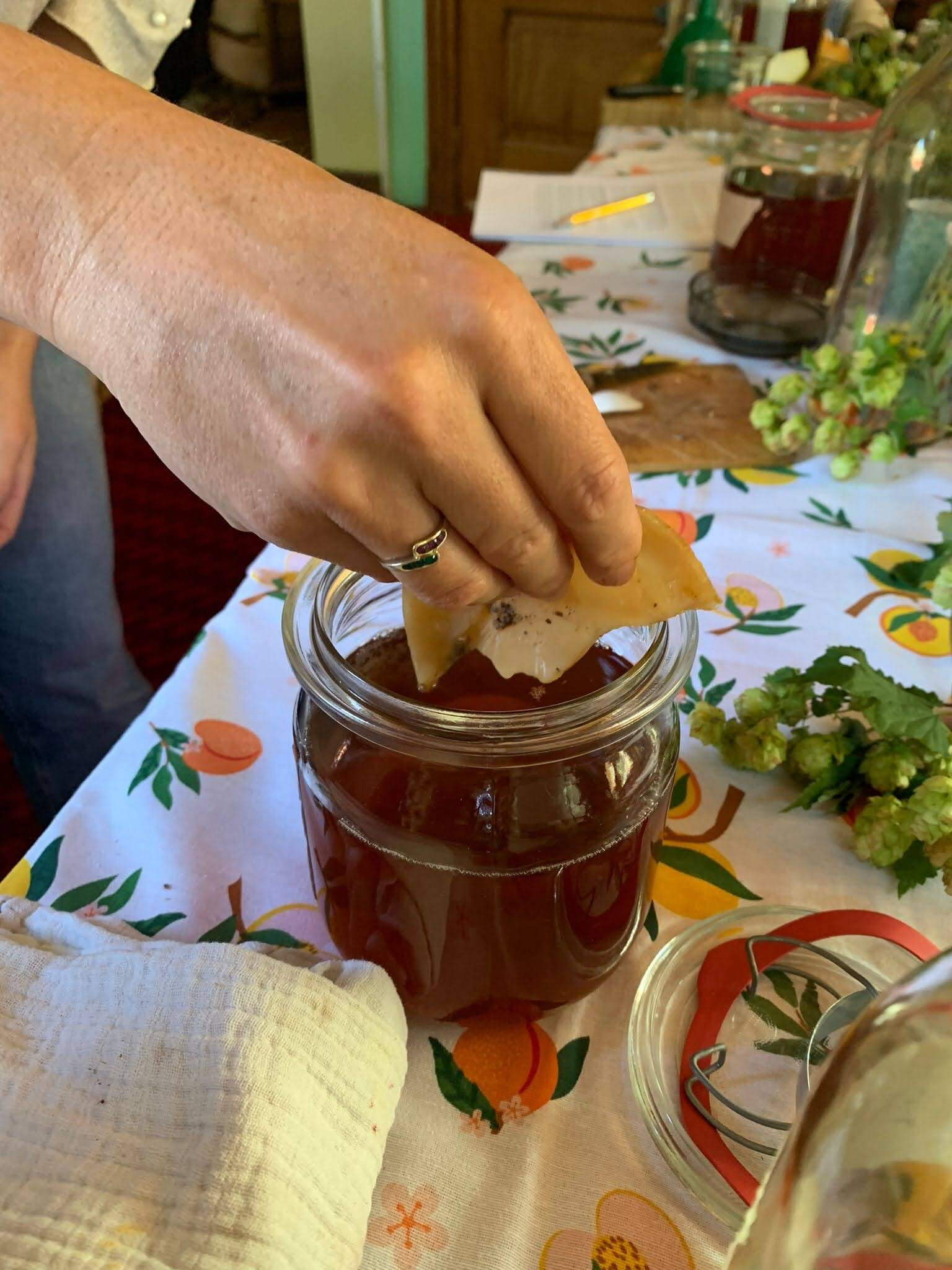 Workshop KOMBUCHA & Co - Foto