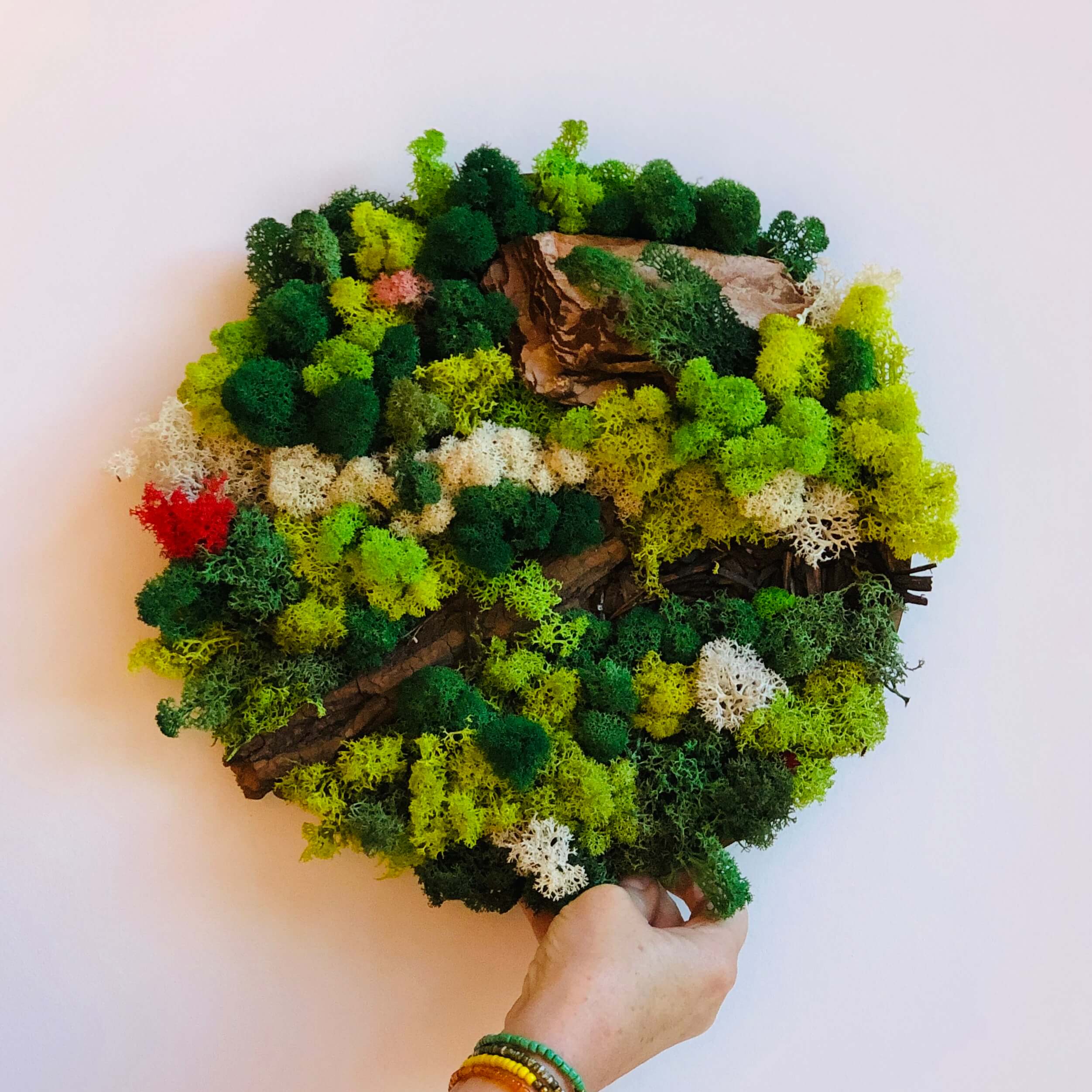 Workshop Mosschilderij - 22 januari  2026 -Zwolle - Foto