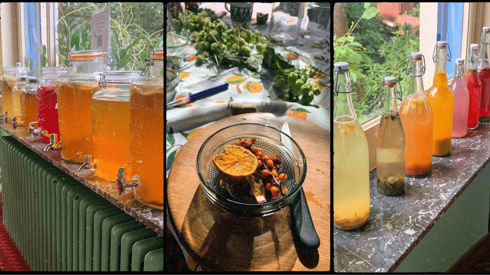 Doe-het-zelf KOMBUCHA pakket - Foto