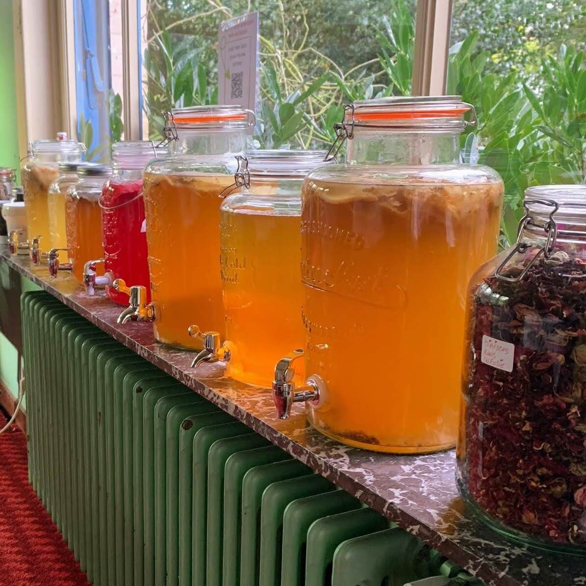 Doe-het-zelf KOMBUCHA pakket - Foto