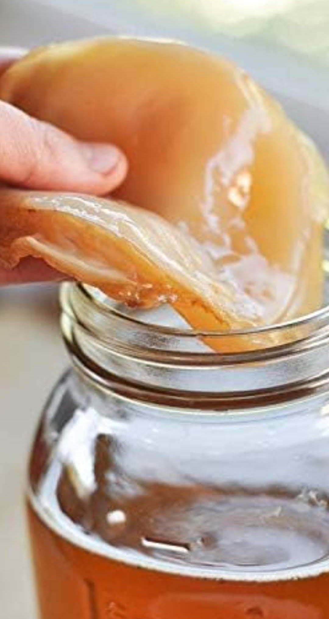 Doe-het-zelf KOMBUCHA pakket - Foto