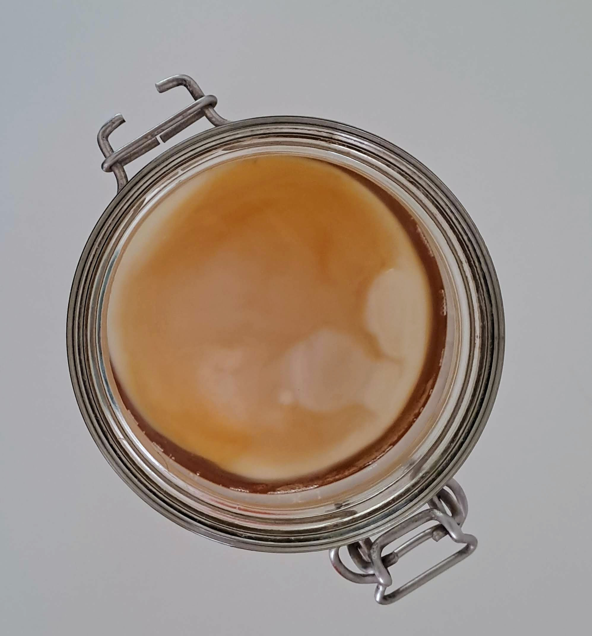 Doe-het-zelf KOMBUCHA pakket - Foto