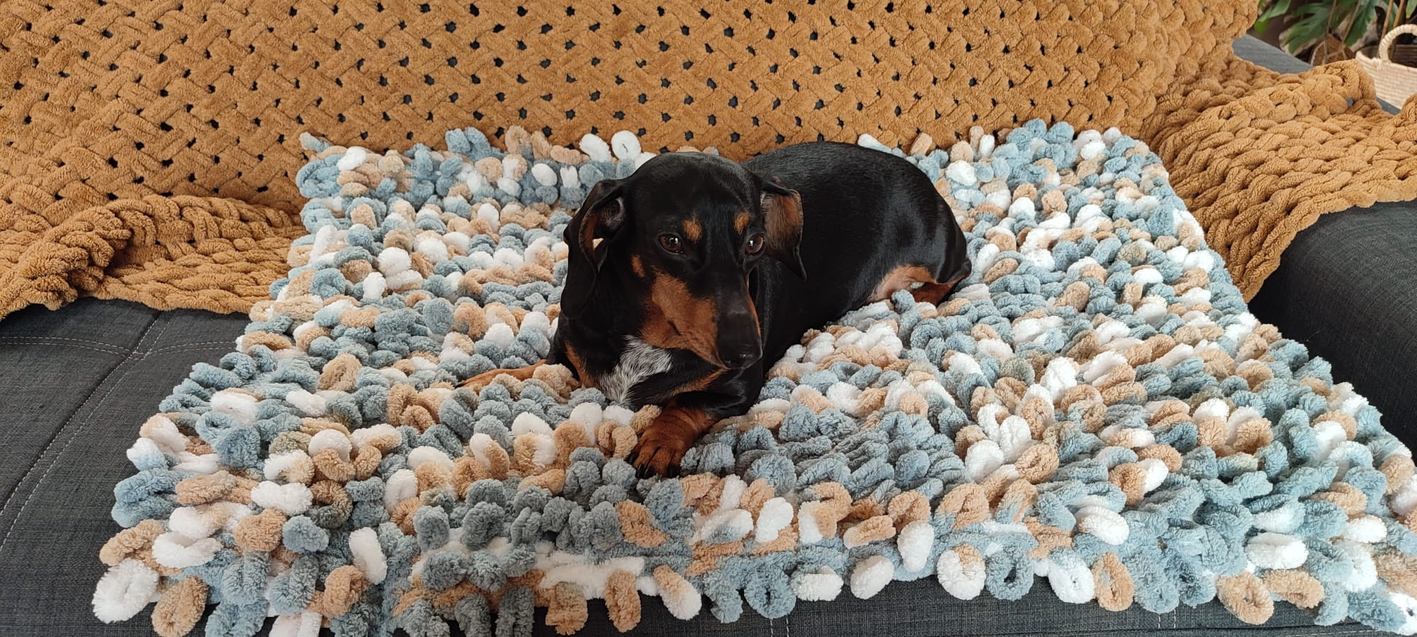 🧶 Workshop Fluffy Mat – Breien met je handen voor jouw viervoeter (of jezelf!) Breien zonder naalden? Jep, dat kan! - Foto