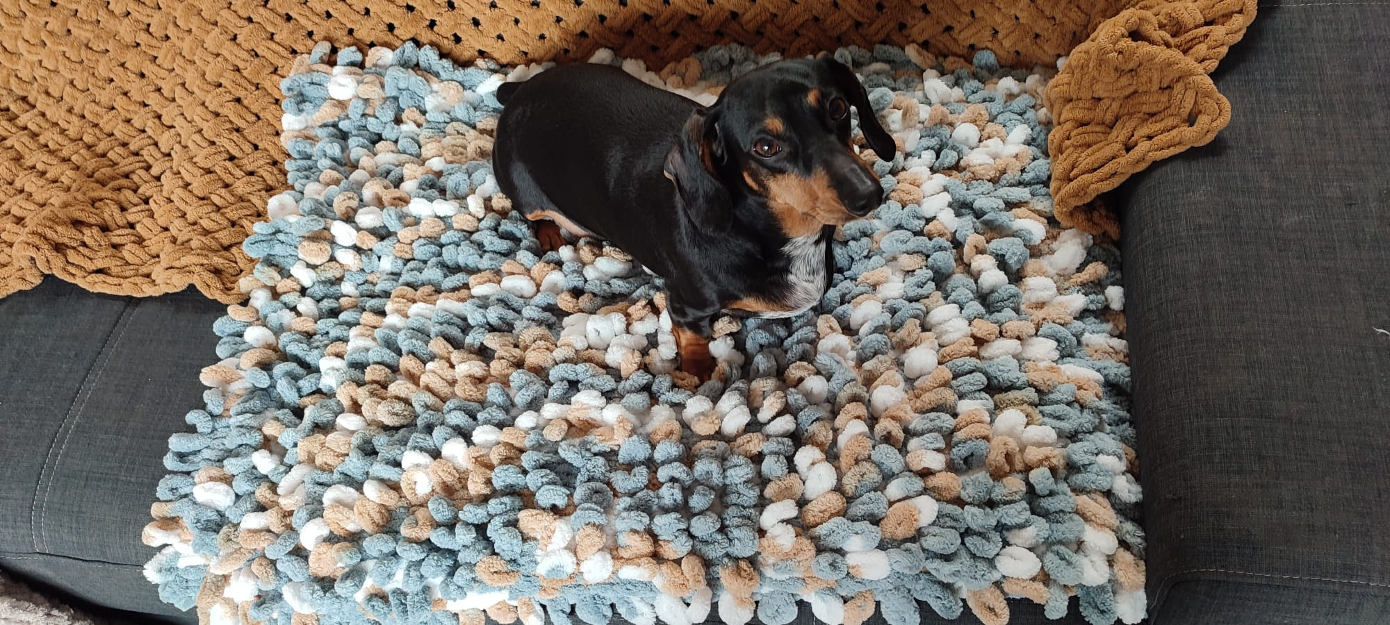 🧶 Workshop Fluffy Mat – Breien met je handen voor jouw viervoeter (of jezelf!) Breien zonder naalden? Jep, dat kan! - Foto