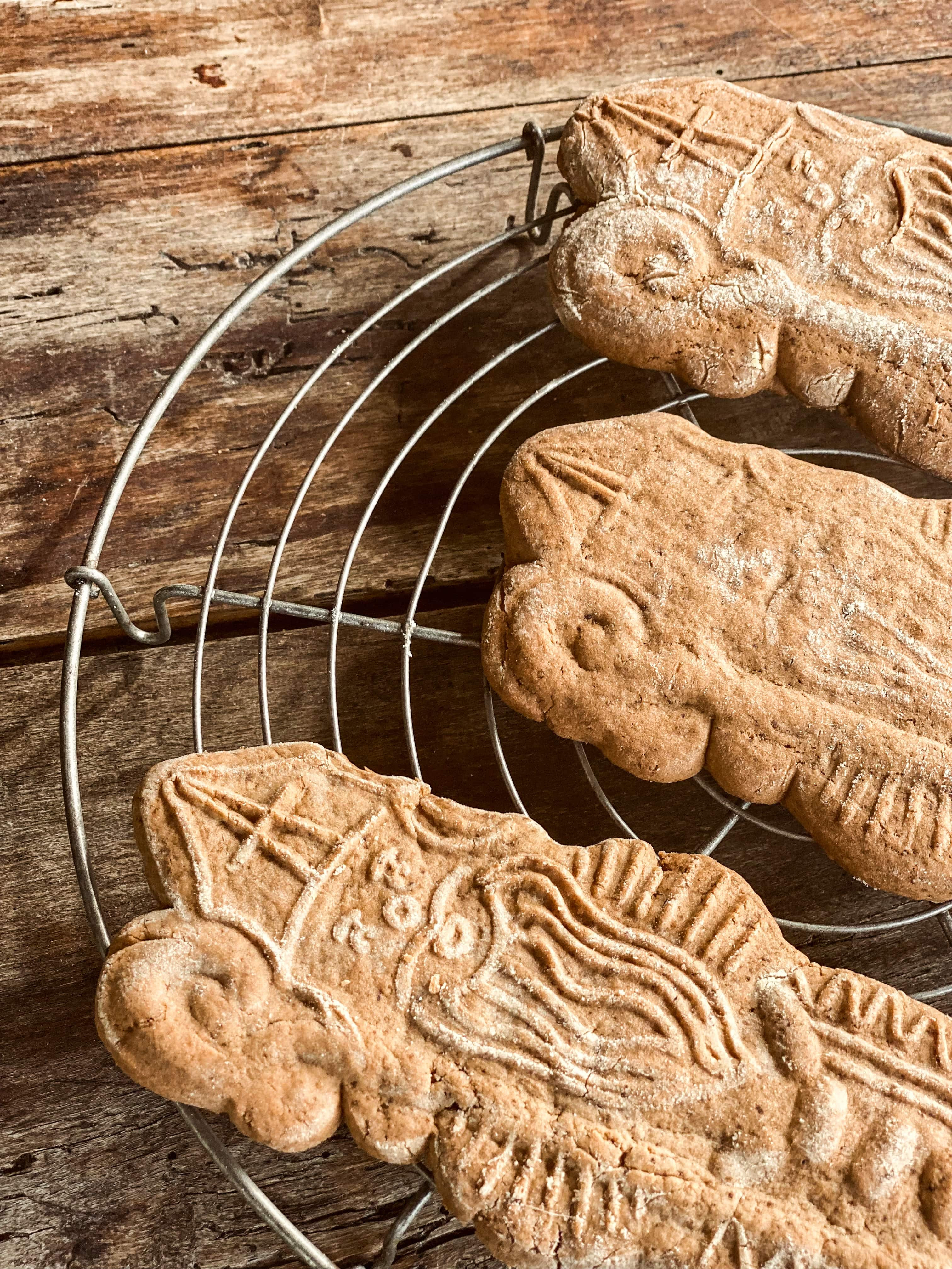 ©AnneliesTimmermans