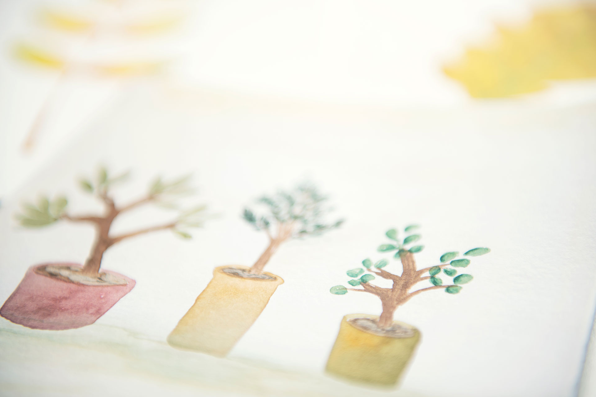 Kennismaken met aquarel workshop - Foto