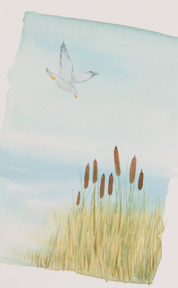 Luchten en eenvoudige zichten in aquarel!