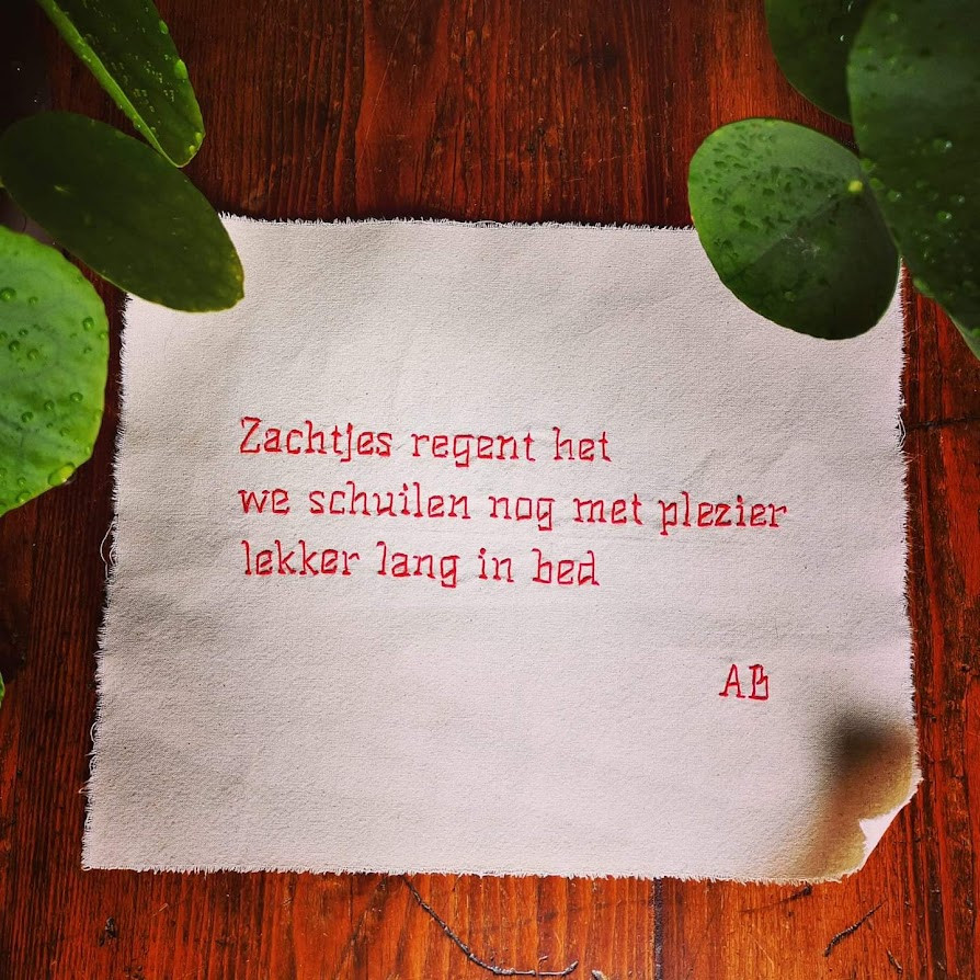 Workshop Haiku schrijven, spelen met woorden en verwondering - Foto