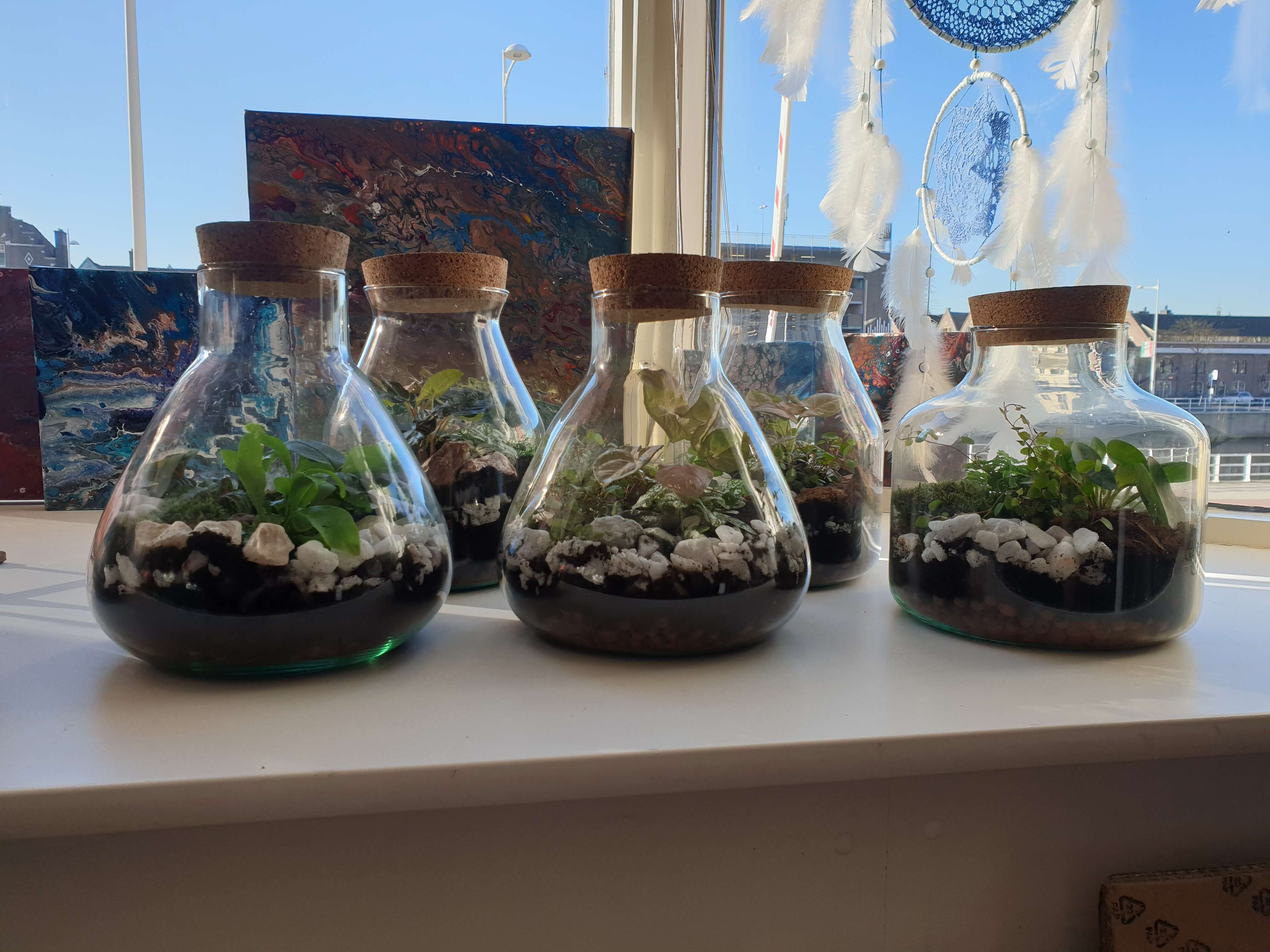 Workshop Zelfvoorzienend Ecosysteem - Foto