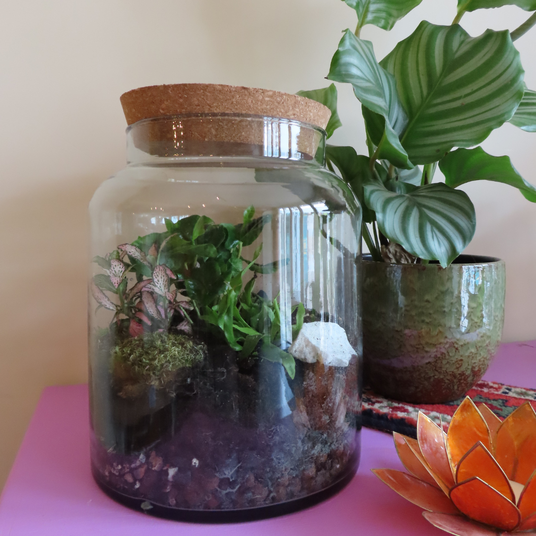 Workshop Zelfvoorzienend Ecosysteem