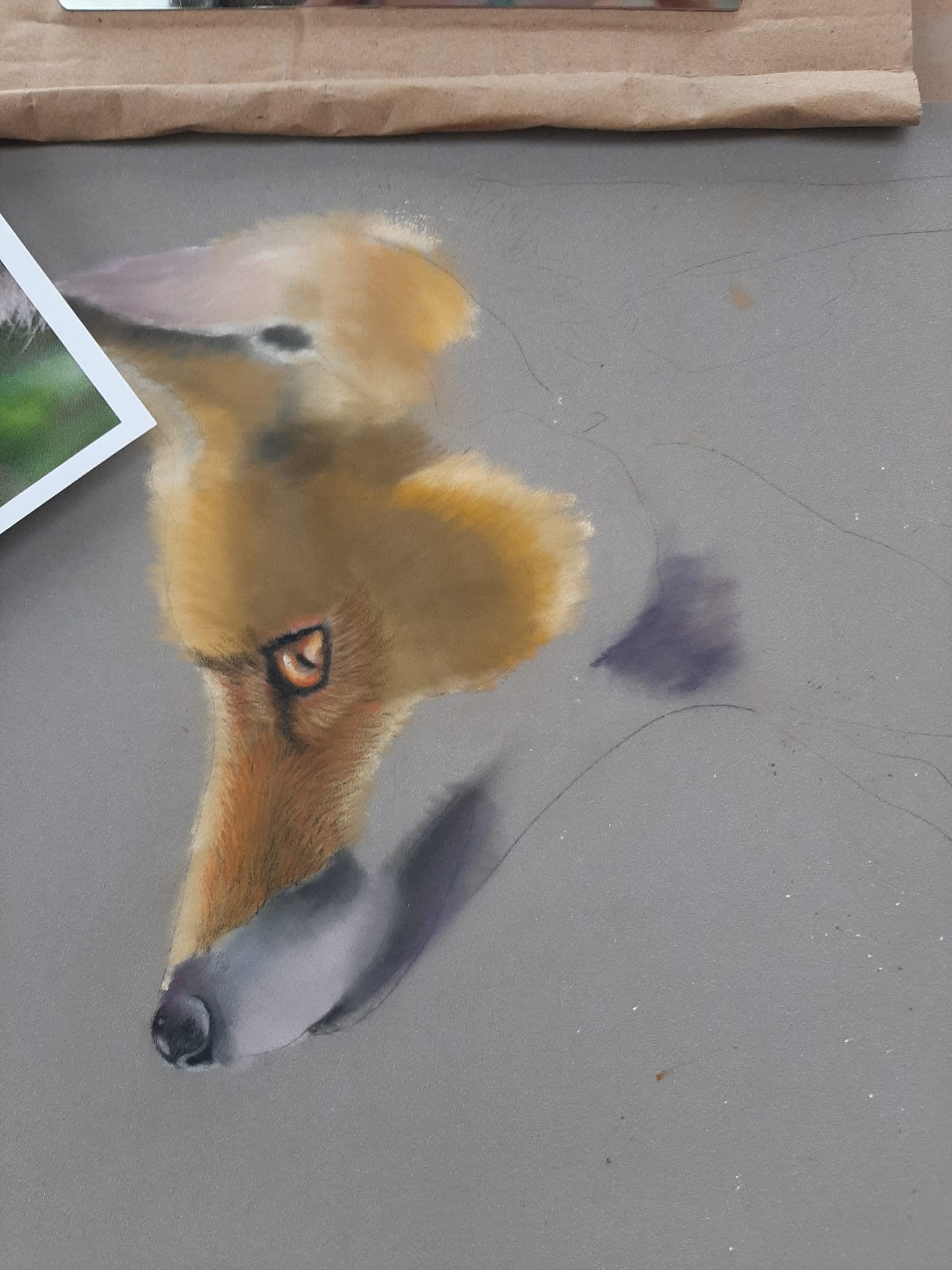 Initiatie dierenportretten tekenen in pastelpotlood vanaf 12 jaar - Foto