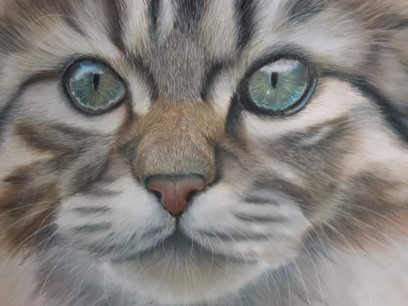 Initiatie dierenportretten tekenen in pastelpotlood vanaf 12 jaar - Foto